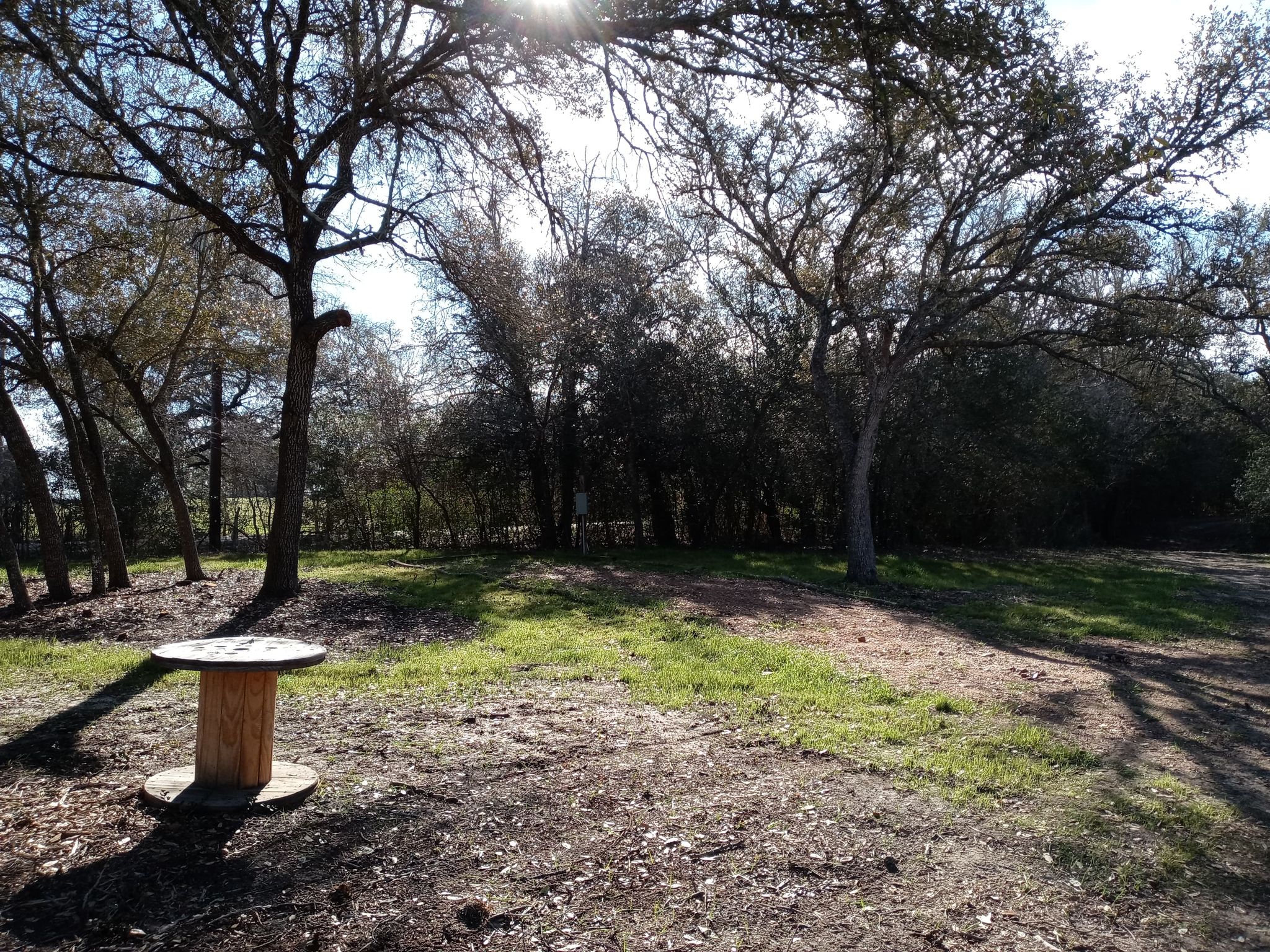 Squawk and Skedaddle RV Site 10