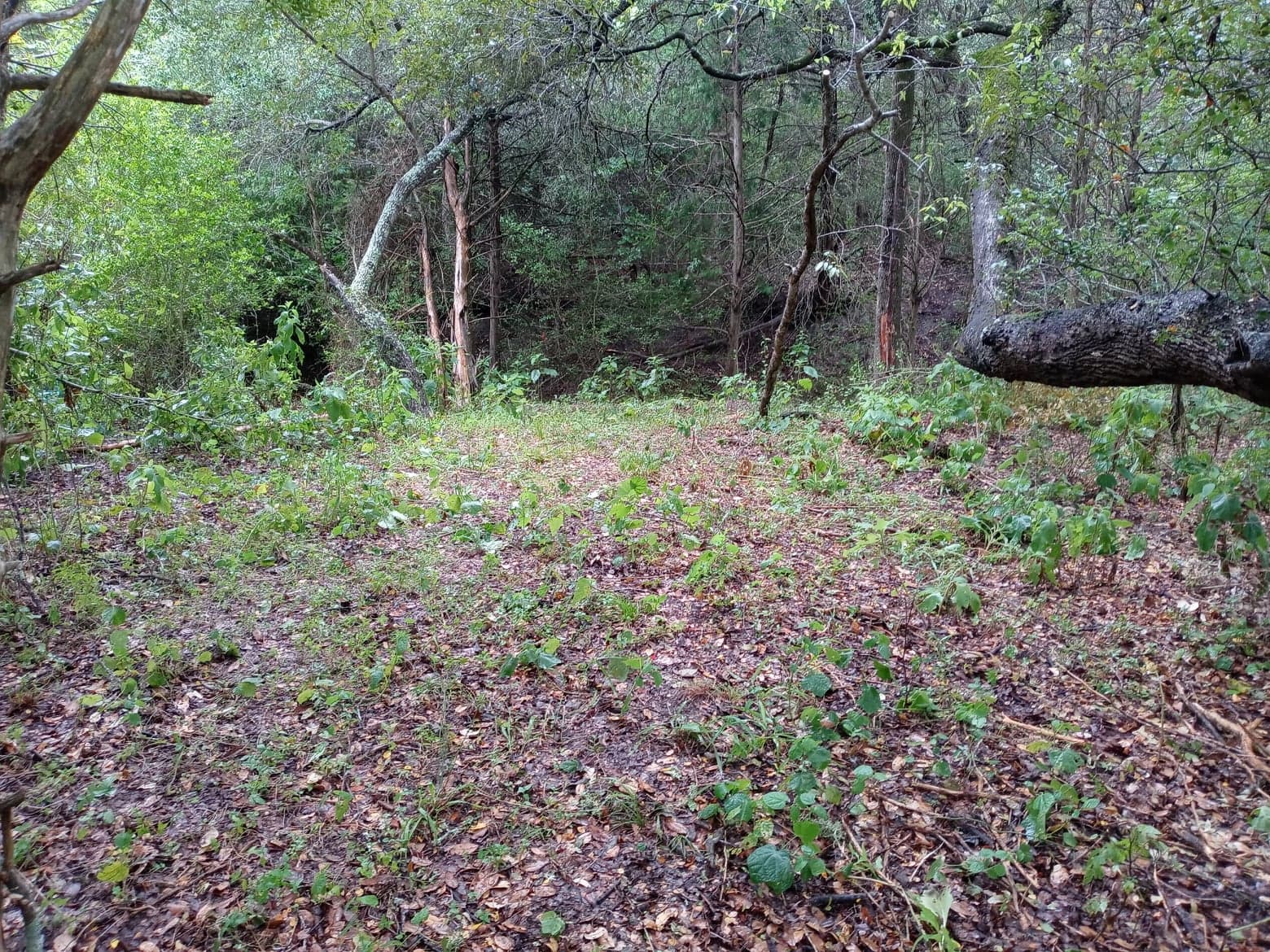 Tent Camping in front of creek